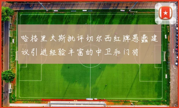 哈格里夫斯批评切尔西红牌愚蠢建议引进经验丰富的中卫和门将