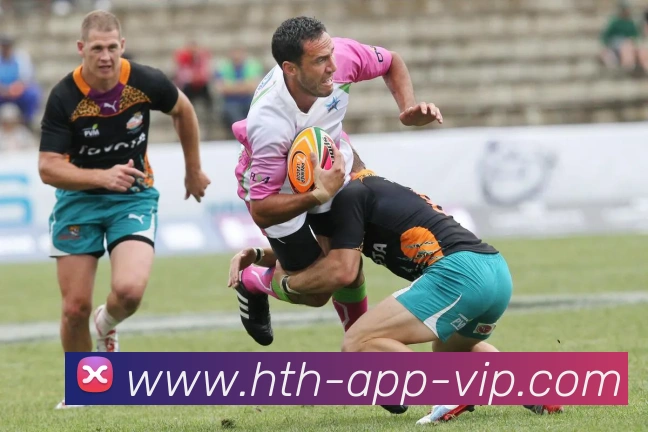 华体会平台生态图